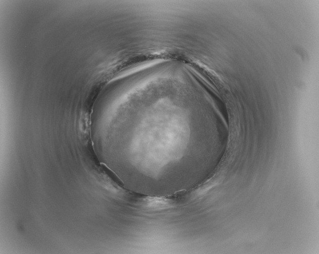 X0000116060528200912041856