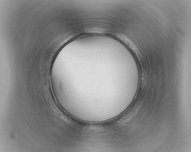 X0000116060529200912041856