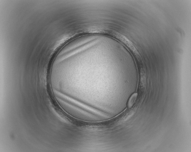 X0000116060530200912041856