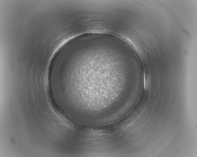 X0000116060531200912041856