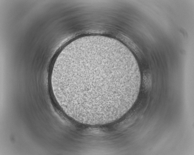 X0000116060534200912041856