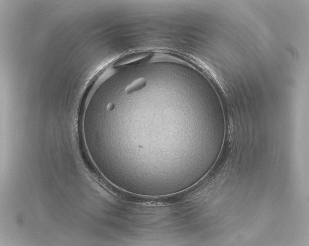 X0000116060535200912041856