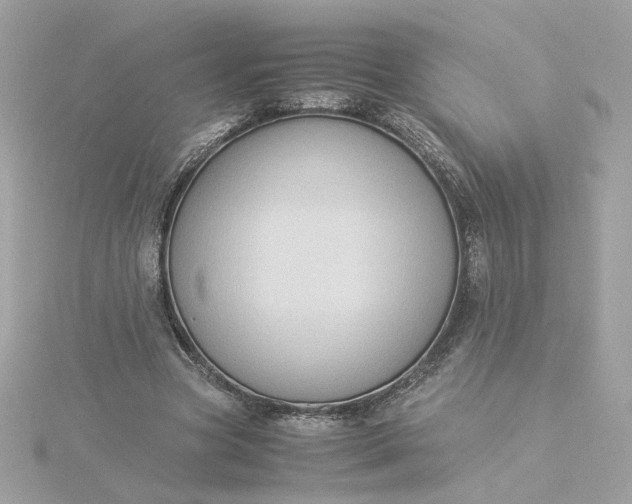 X0000116060537200912041856