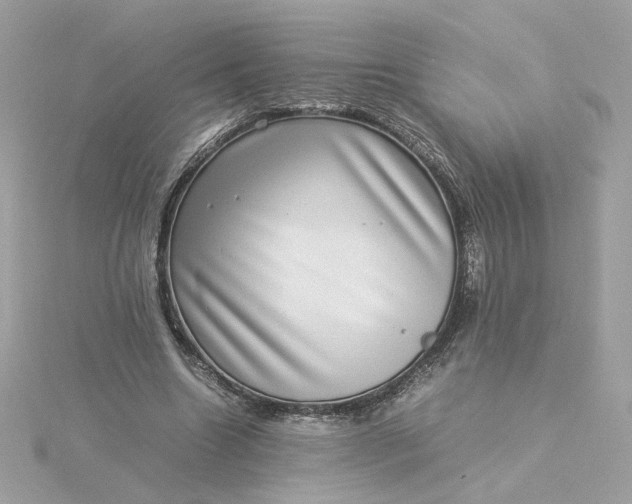 X0000116060538200912041856