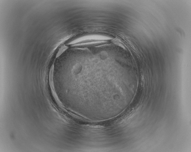 X0000116060539200912041856