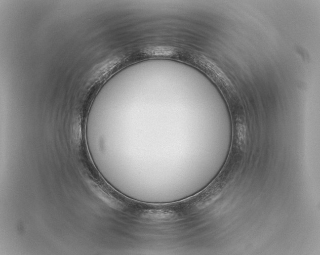 X0000116060541200912041856