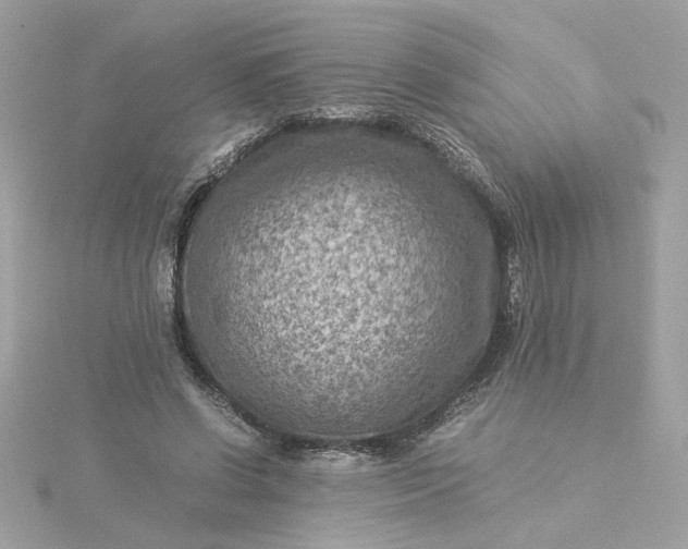 X0000116060542200912041856