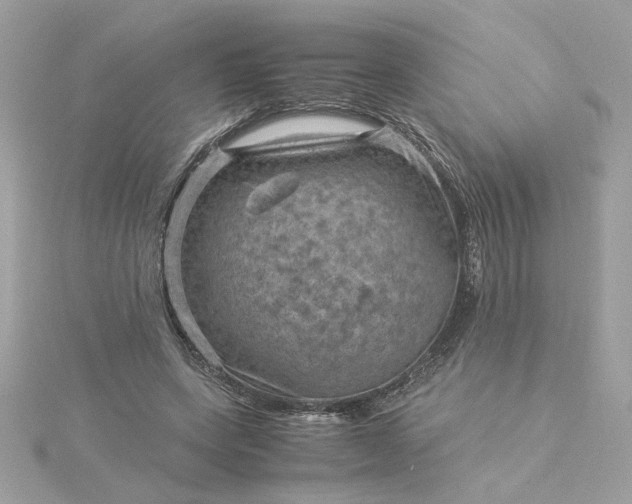 X0000116060543200912041856