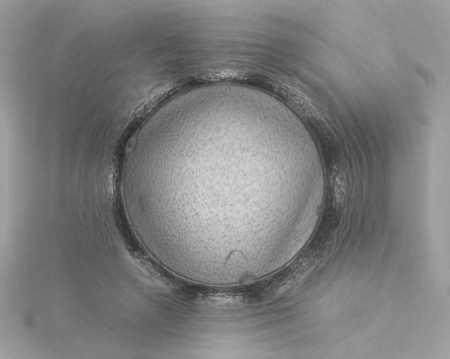 X0000116060546200912041856