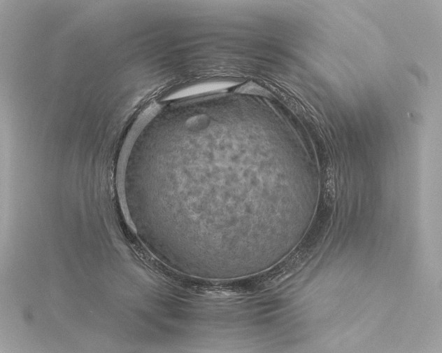 X0000116060547200912041856