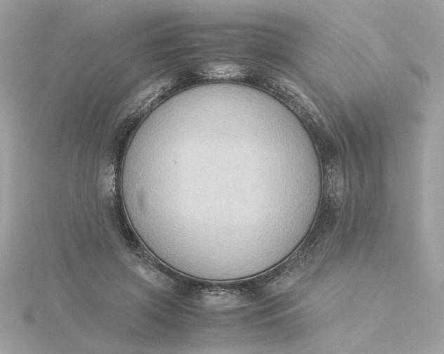 X0000116060549200912041856