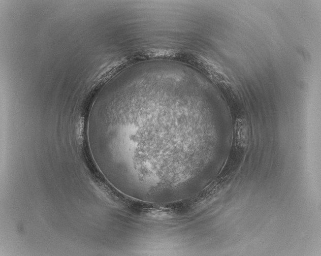 X0000116060550200912041856