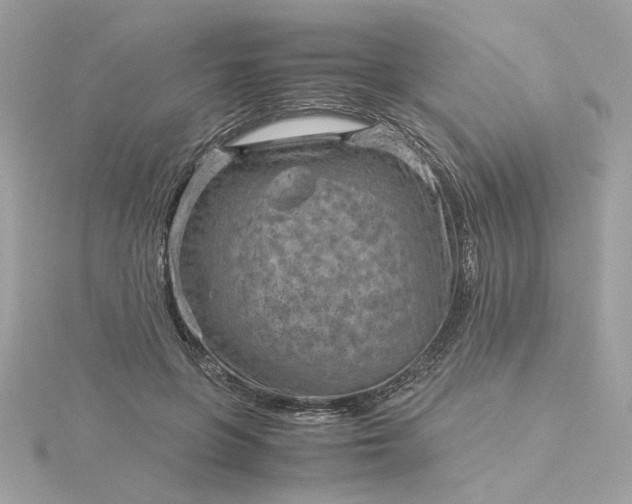 X0000116060551200912041856