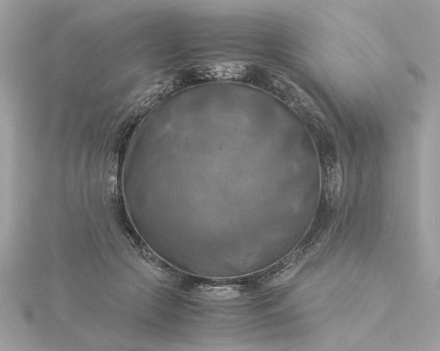 X0000116060553200912041856