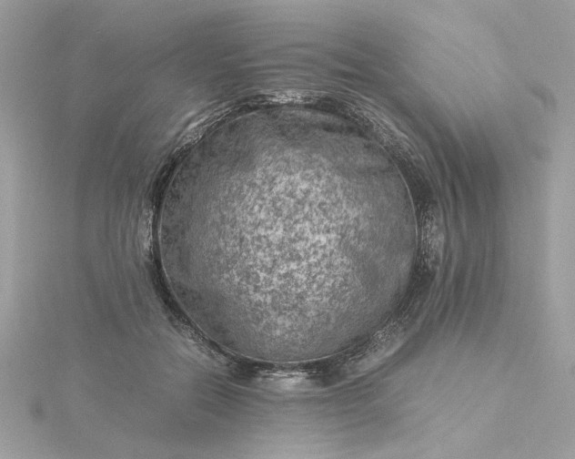 X0000116060554200912041856