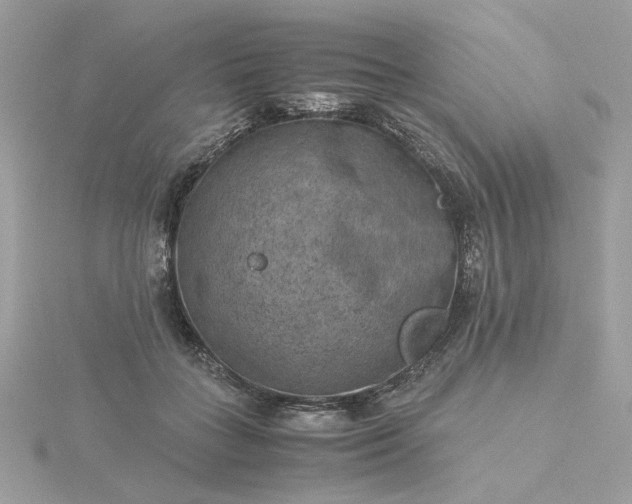 X0000116060555200912041856