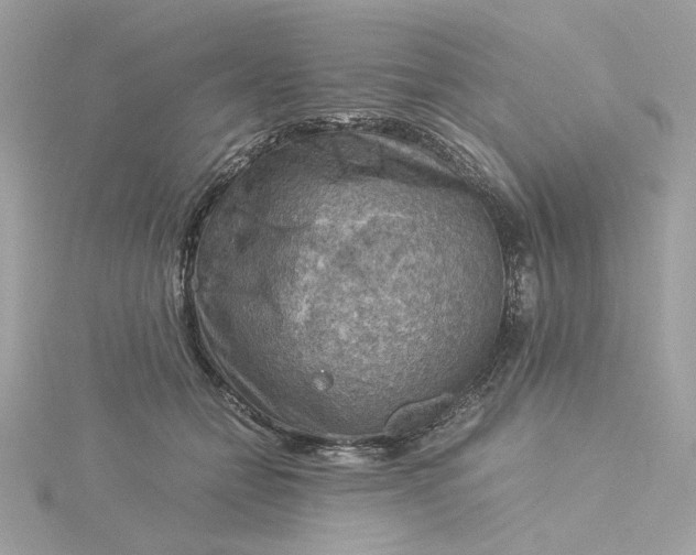 X0000116060558200912041856