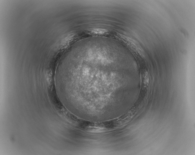 X0000116060559200912041856