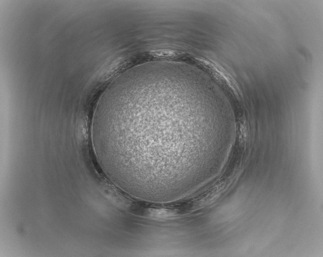 X0000116060561200912041856