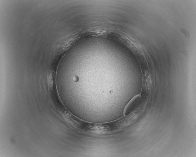 X0000116060562200912041856