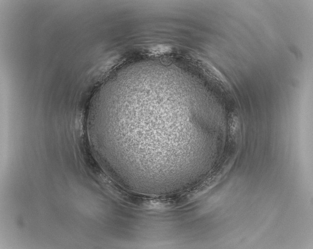 X0000116060565200912041856