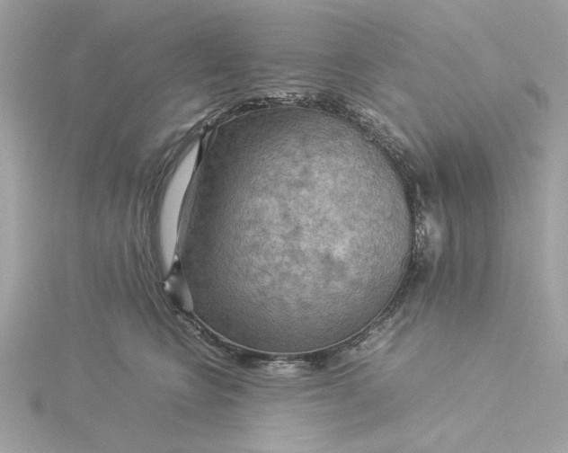 X0000116060566200912041856