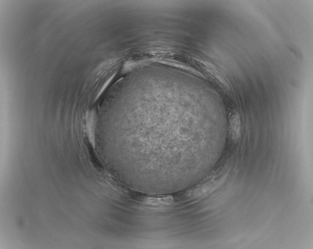 X0000116060571200912041856