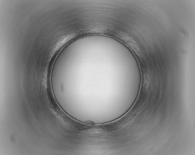 X0000116060578200912041856