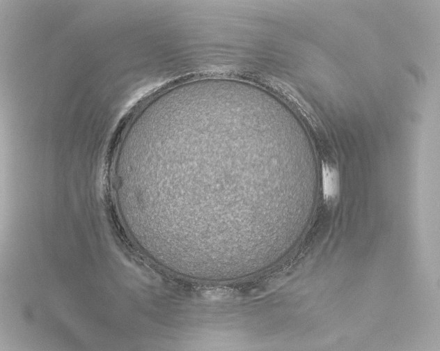 X0000116060579200912041856