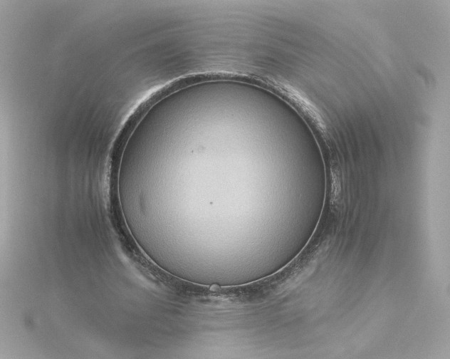 X0000116060580200912041856