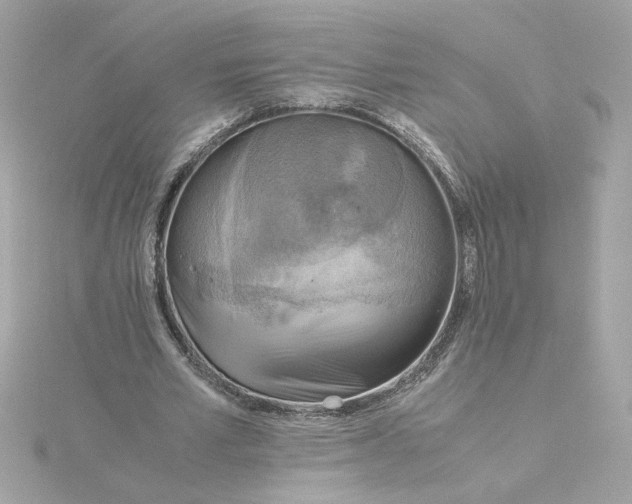 X0000116060581200912041856