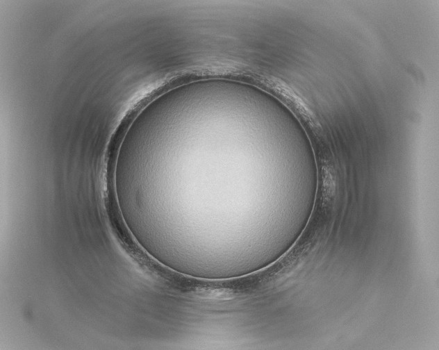 X0000116060582200912041856