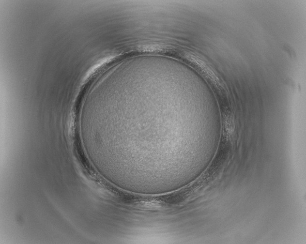 X0000116060583200912041855