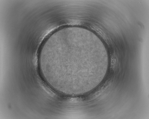 X0000116060584200912041855