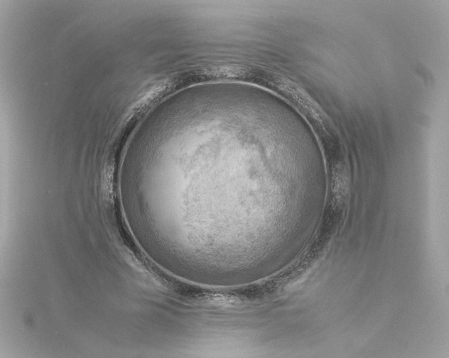 X0000116060585200912041855