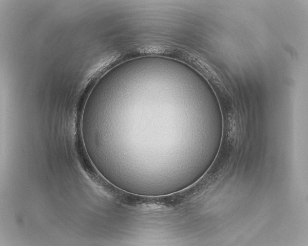 X0000116060586200912041855