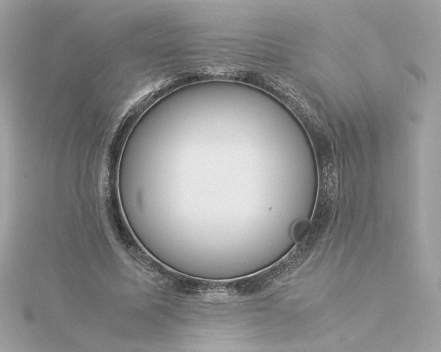 X0000116060587200912041855