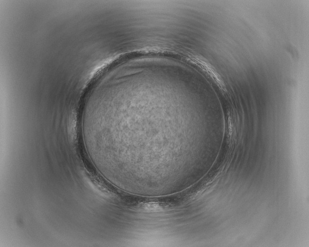 X0000116060588200912041855