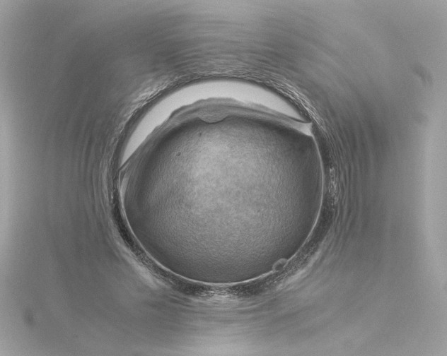 X0000116060589200912041855