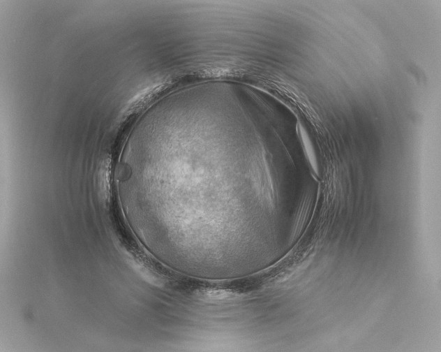 X0000116060590200912041855