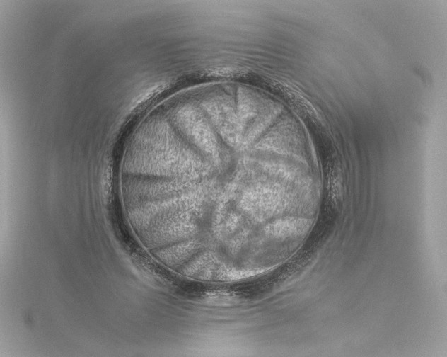 X0000116060591200912041855