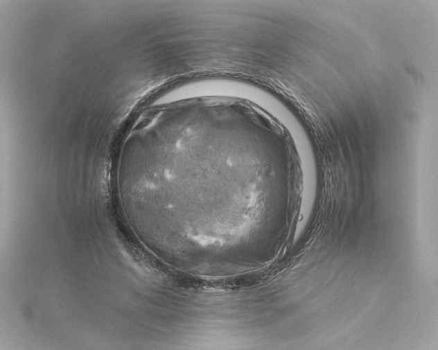 X0000116060592200912041855