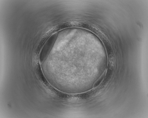 X0000116060593200912041855