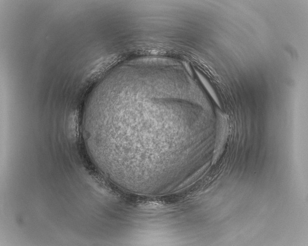 X0000116060594200912041855