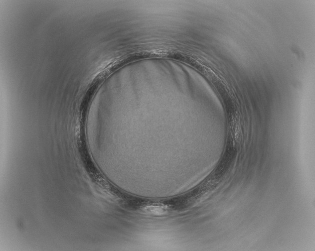 X0000116060595200912041855