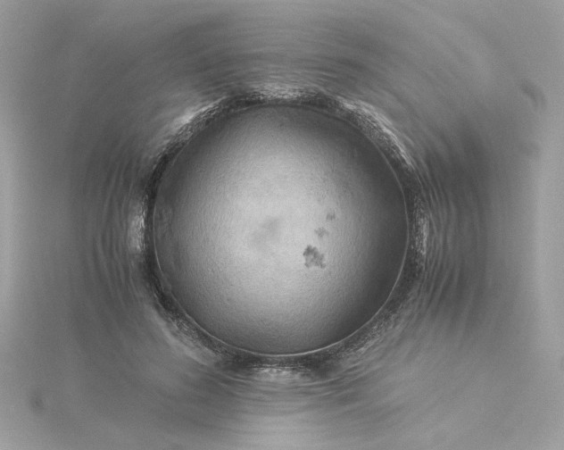 X0000116060596200912041855