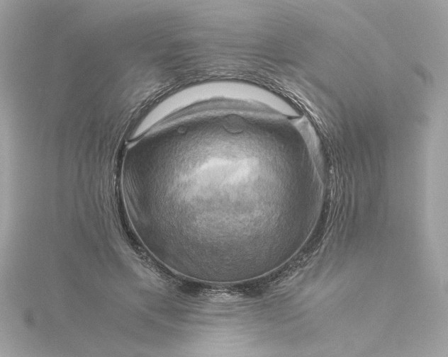 X0000116060597200912041855