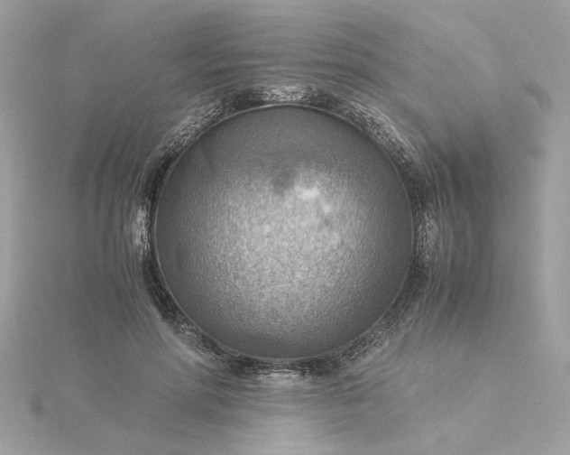 X0000116060598200912041855