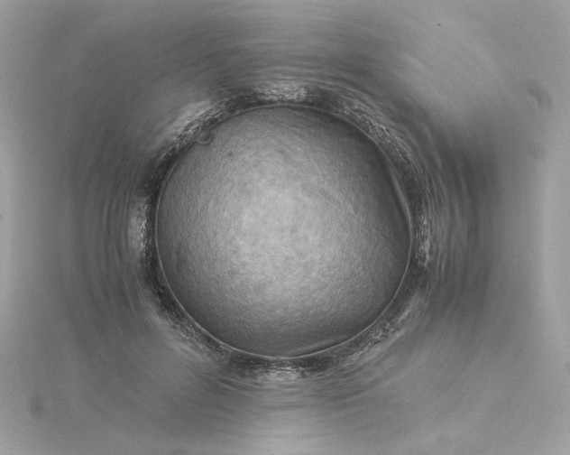 X0000116060600200912041855