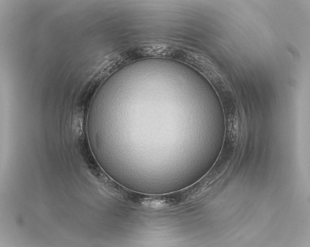 X0000116060602200912041855